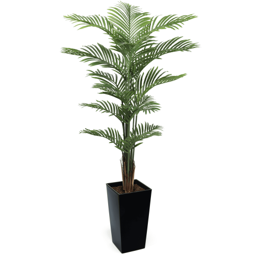 #1 for Artificial Areca Palm Trees | Evergreen Direct