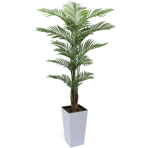 #1 for Artificial Areca Palm Trees | Evergreen Direct