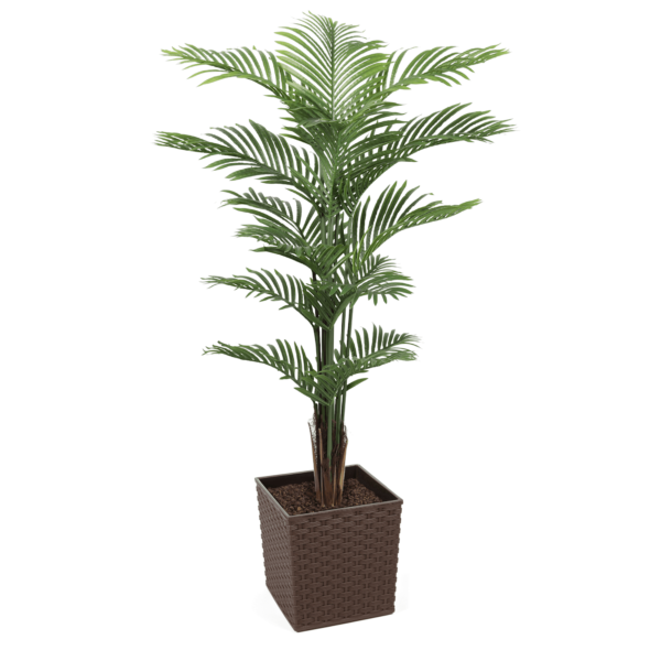 #1 for Artificial Areca Palm Trees | Evergreen Direct