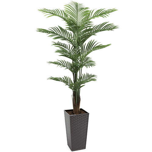 #1 for Artificial Areca Palm Trees | Evergreen Direct