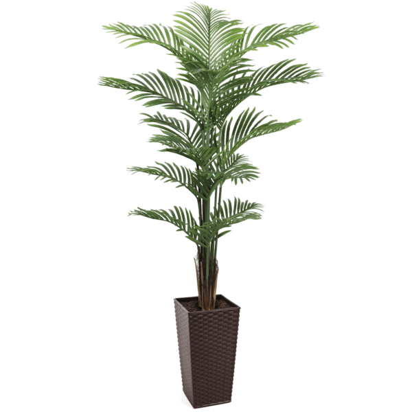 #1 for Artificial Areca Palm Trees | Evergreen Direct