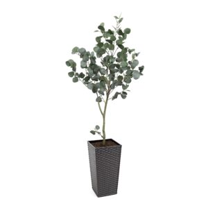 #1 for Artificial Eucalyptus Trees | Evergreen Direct