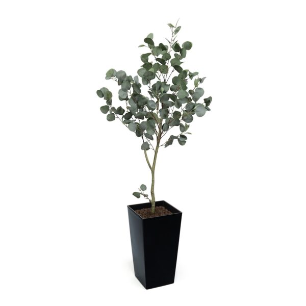 #1 for Artificial Eucalyptus Trees | Evergreen Direct