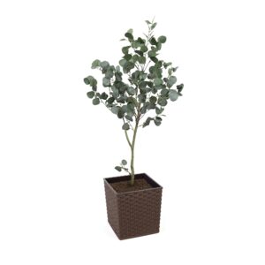 #1 for Artificial Eucalyptus Trees | Evergreen Direct