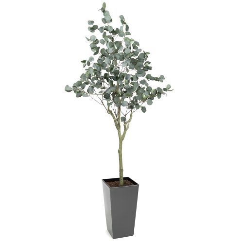 #1 for Artificial Eucalyptus Trees | Evergreen Direct