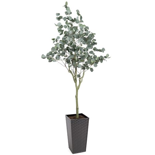 #1 for Artificial Eucalyptus Trees | Evergreen Direct