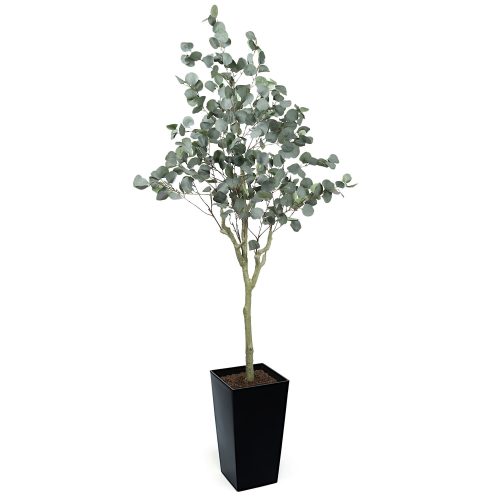 #1 for Artificial Eucalyptus Trees | Evergreen Direct