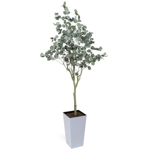 #1 for Artificial Eucalyptus Trees | Evergreen Direct