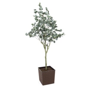 #1 for Artificial Eucalyptus Trees | Evergreen Direct