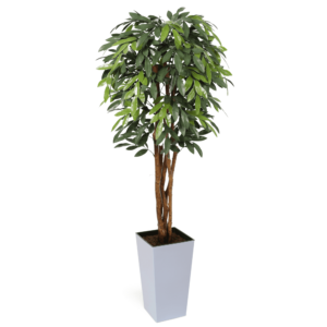 Premium UV MangoTree 150cm - Evergreen Direct