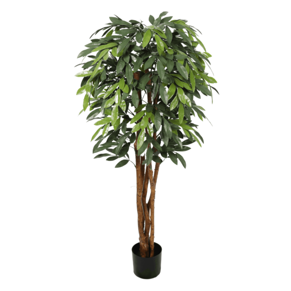 Premium UV MangoTree 150cm - Evergreen Direct