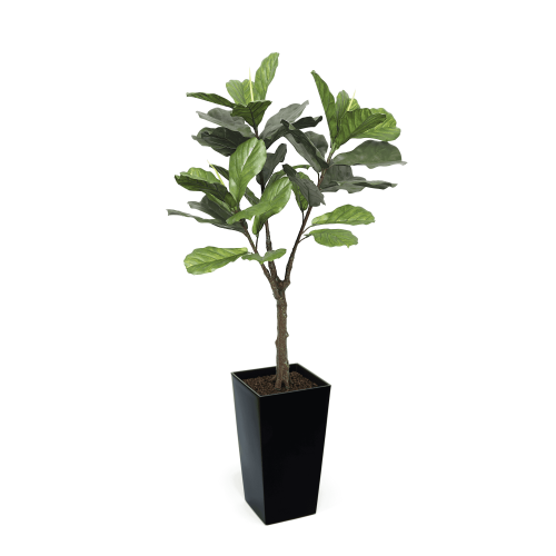 Artificial UV Fiddle Leaf Fig Tree at Evergreen Direct