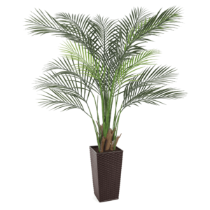 Artificial Premium Palm Tree at Evergreen Direct