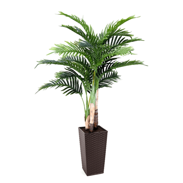 Artificial Medium Decorative Interior Palm | Evergreen Direct