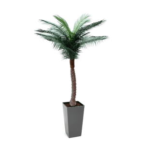 Artificial UV Beach Palm at Evergreen Direct