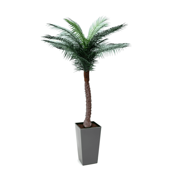 Artificial UV Beach Palm at Evergreen Direct