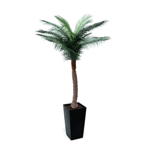 Artificial UV Beach Palm at Evergreen Direct