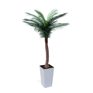 Artificial UV Beach Palm at Evergreen Direct