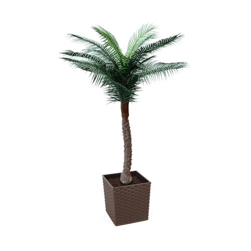 Artificial UV Beach Palm at Evergreen Direct