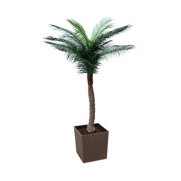 Artificial UV Beach Palm at Evergreen Direct