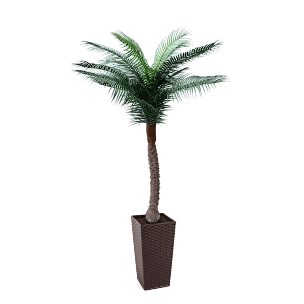 Artificial UV Beach Palm at Evergreen Direct