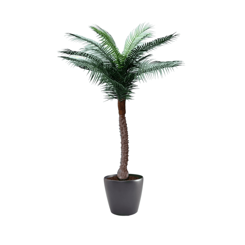 Artificial UV Beach Palm at Evergreen Direct