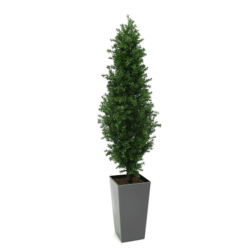 Artificial Buxus Shrub | Evergreen Direct