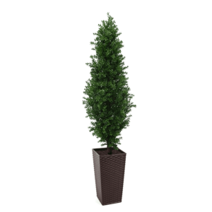 Artificial Buxus Shrub | Evergreen Direct