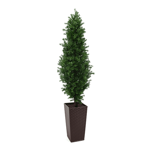 Artificial Buxus Shrub | Evergreen Direct