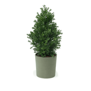 Artificial Buxus Shrub | Evergreen Direct