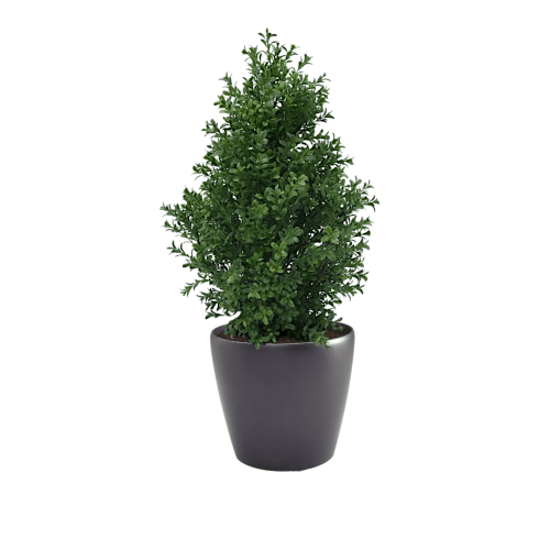 Artificial Buxus Shrub | Evergreen Direct