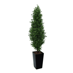 Artificial Buxus Shrub | Evergreen Direct