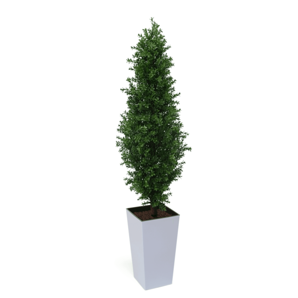 Artificial Buxus Shrub | Evergreen Direct