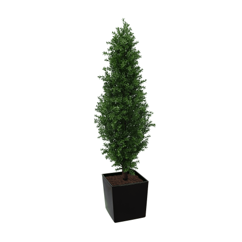 Artificial Buxus Shrub  | Evergreen Direct