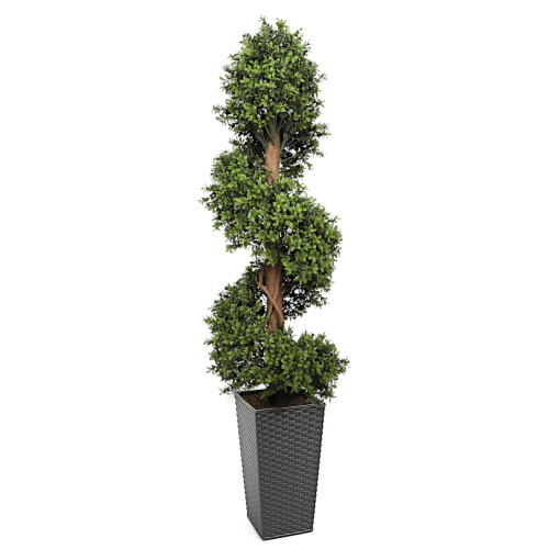 Artificial Buxus Spiral from Evergreen Direct