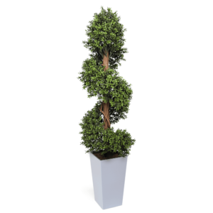 Artificial Buxus Spiral from Evergreen Direct