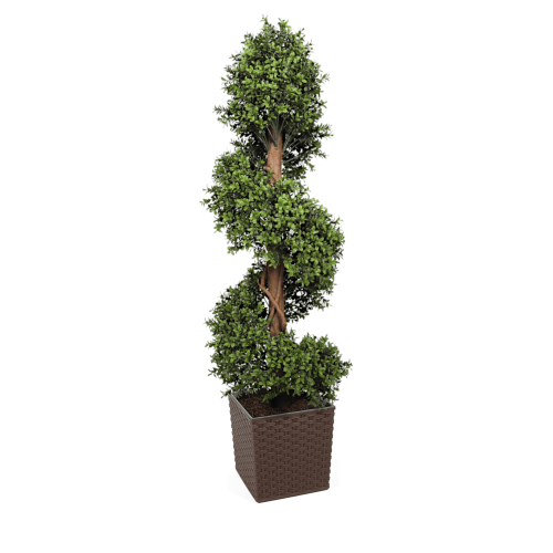 Artificial Buxus Spiral from Evergreen Direct