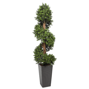 Artificial Buxus Spiral from Evergreen Direct