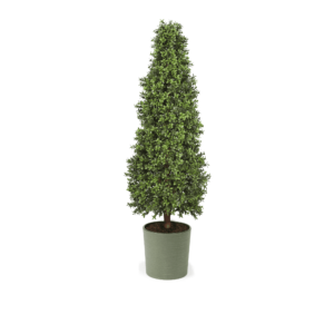 Artificial Topiary Cone at Evergreen Direct