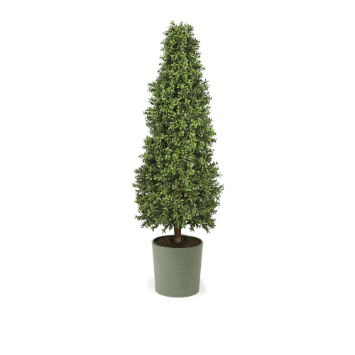 Artificial Topiary Cone at Evergreen Direct