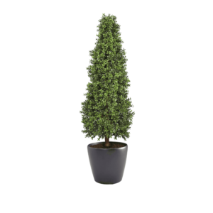 Artificial Topiary Cone at Evergreen Direct