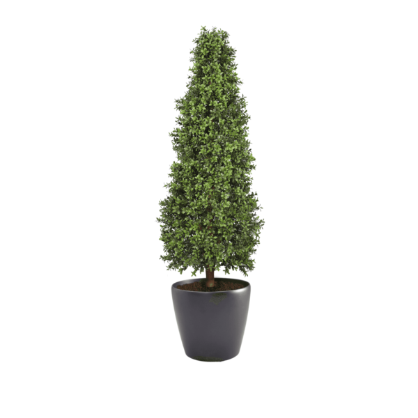 Artificial Topiary Cone at Evergreen Direct