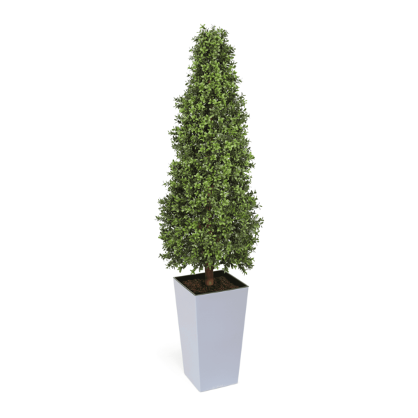 Artificial Topiary Cone at Evergreen Direct