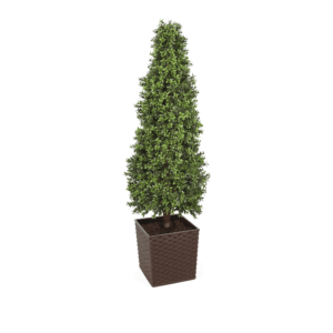 Artificial Topiary Cone at Evergreen Direct