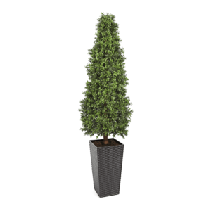 Artificial Topiary Cone at Evergreen Direct