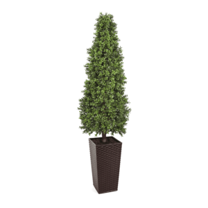 Artificial Topiary Cone at Evergreen Direct