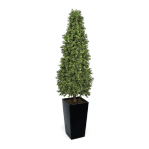 Artificial Topiary Cone at Evergreen Direct