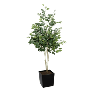 Artificial UV French FicusTree From Evergreen Direct