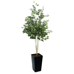 Artificial UV French FicusTree From Evergreen Direct