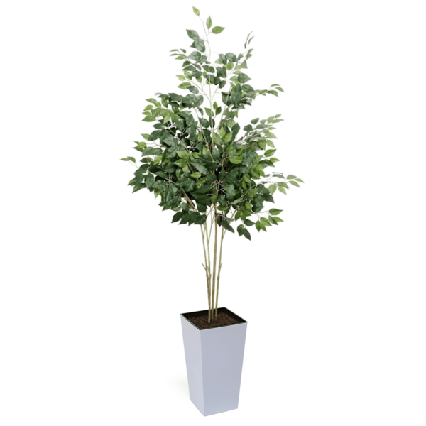 Artificial UV French FicusTree From Evergreen Direct